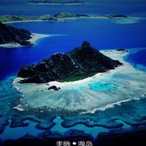小长颈鹿逃离